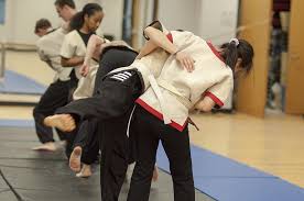 cours shuai jiao